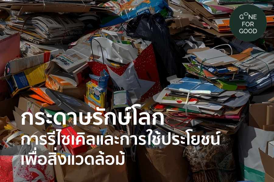 กระดาษรักษ์โลก- การรีไซเคิลและการใช้ประโยชน์เพื่อสิ่งแวดล้อม