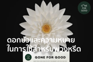 ดอกบัวและความหมายในการใช้สำหรับพวงหรีด