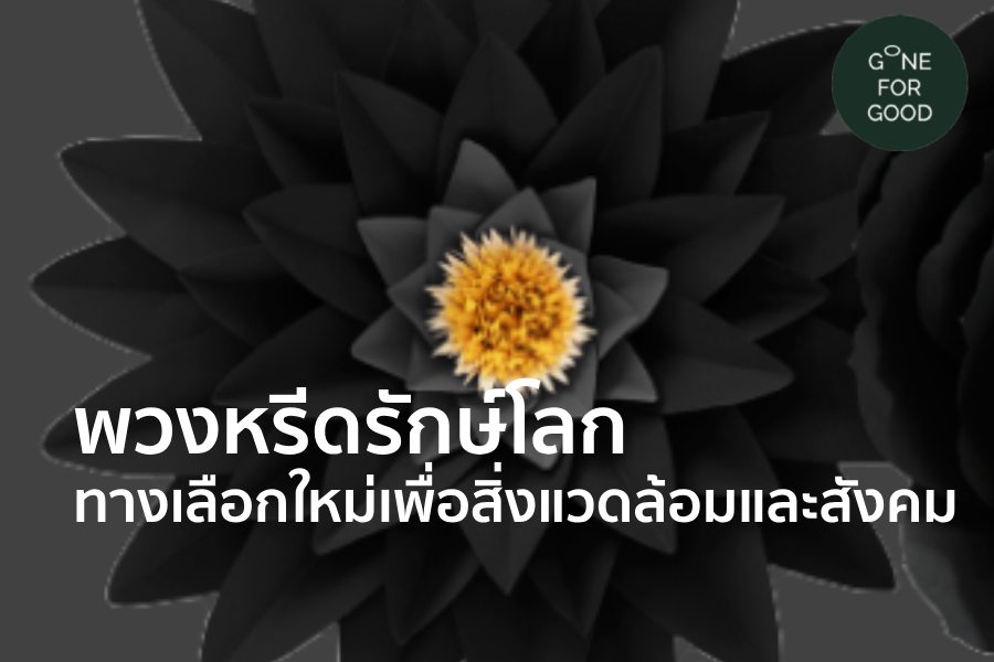 พวงหรีดรักษ์โลก- ทางเลือกใหม่เพื่อสิ่งแวดล้อมและสังคม